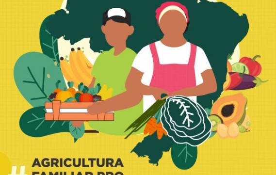 Câmara prepara PL para apoio à agricultura familiar na pandemia