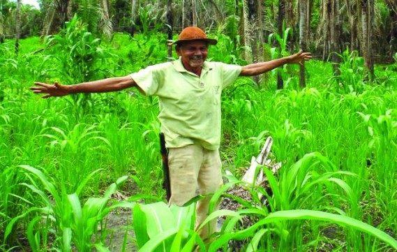 Na luta para conquistar mais vagas no Garantia Safra