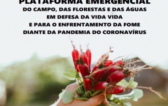Movimentos sociais e sindicais lançam Plataforma Emergencial  em Defesa da Vida