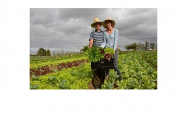 Senado aprova projeto que prorroga dívidas de agricultores(as) familiares e de beneficiários da reforma agrária