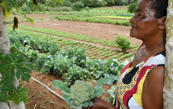 Audiências públicas vão debater impacto da MP 871 na economia dos municípios