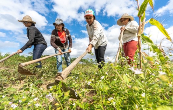 Fetape realiza plenária sobre o Plano Safra da agricultura familiar 2023-2024 em Serra Talhada