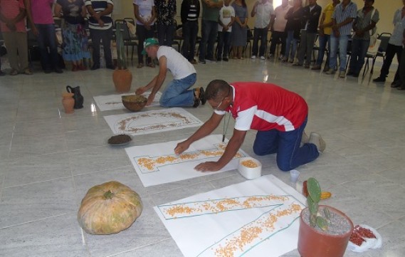 Sementes que cultivam a vida no campo, fazendo florescer a esperança em dias melhores