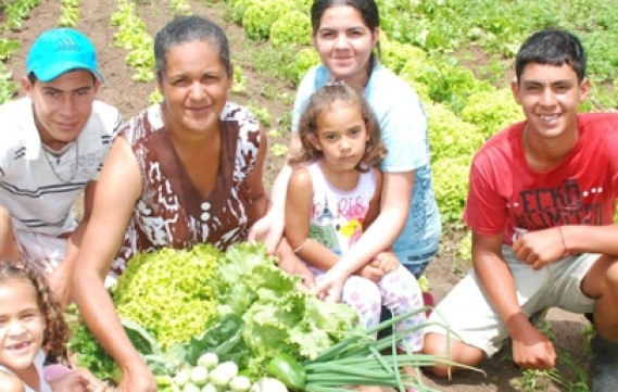 Histórias de convivência com o Semiárido: saiba como agricultores e agricultoras familiares encontram alternativas saudáveis para produzir e viver com
