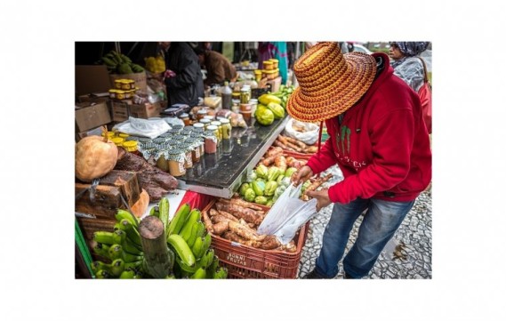 Mais de 170 candidaturas eleitas se comprometeram com a promoção da agroecologia