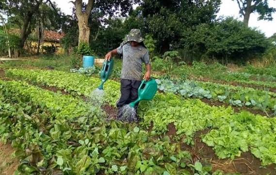 Compra de alimentos da agricultura familiar pelo Governo de Pernambuco é aprovada na Alepe
