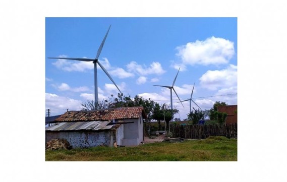 Parques eólicos destroem plantações, criação de animais e forçam agricultores para êxodo rural