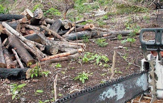 PL, da bancada ruralista, foi apresentado na quinta (14) e pode ter urgência votada nesta quarta (20) na Câmara