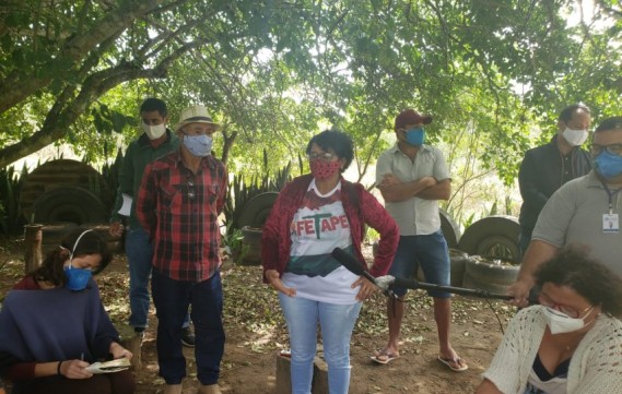 Resolução do Consema cria Grupo de Trabalho para acompanhar impactos ambientais de parques eólicos em PE