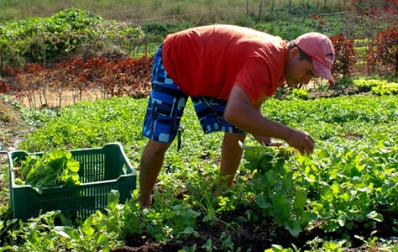 Fetape e entidades do Campo reivindicam aprovação imediata do PAA Estadual na ALEPE