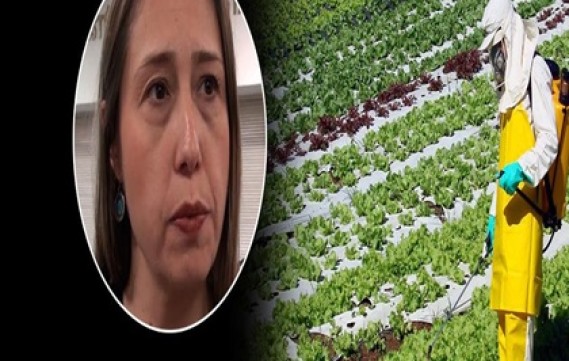 Sob ameaças de morte, professora da USP parte para o exílio por pesquisar agrotóxicos