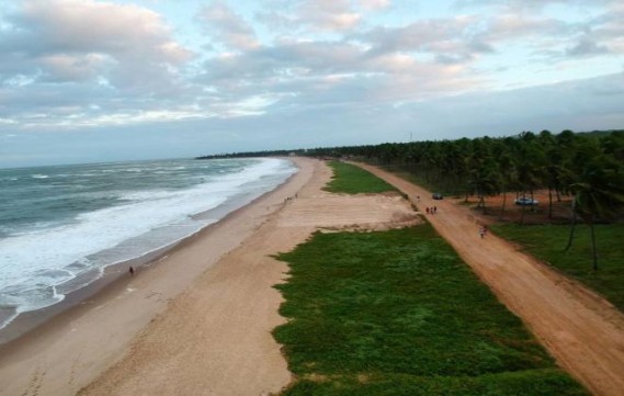 Conama derruba resoluções de proteção ao meio ambiente